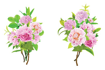 peonies floral wreath and bouquet illustration design