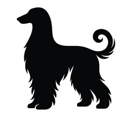 Black and white vector illustration of Afghan Hound.