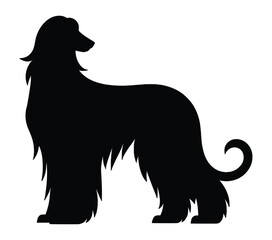 Black and White Afghan Hound Silhouette. Vector Illustration.