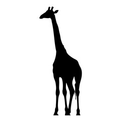 Fototapeta premium Giraffe Silhouette