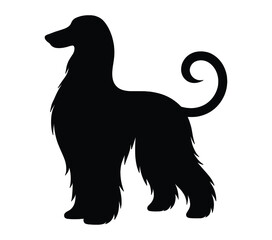 Afghan Hound vector. Afghan Hound vector icon in flat style.