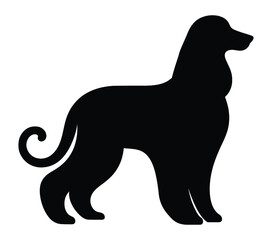 Vector graphic of Afghan Hound.