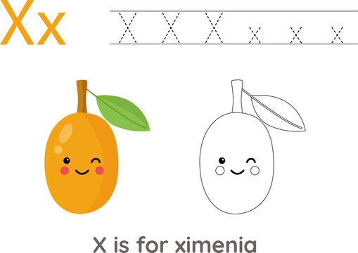 Tracing alphabet letters with cute fruits and vegetables. Color cute cartoon ximenia. Trace letter X.