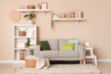 Modern interior of comfortable living room with cozy sofa, carpet and shelving unit, blurred view