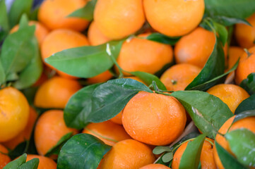 oranges in a box in a store in Cyprus 2