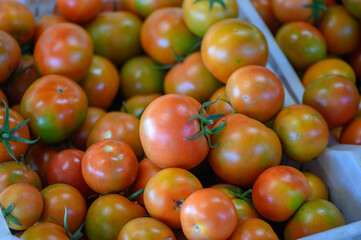 tomatoes in a box in a store in Cyprus 4