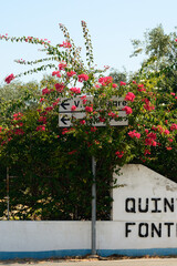 Buganvilla y señales en São Brás de Alportel, Algarve, Portugal