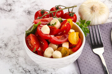 Italian Caprese salad with tomato and mozzarella