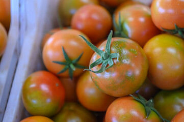 tomatoes in a box in a store in Cyprus 1