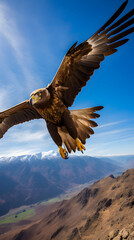 Majestic Mid-Flight Picture of an Aguila (Eagle) Soaring Above a breathtaking Landscape