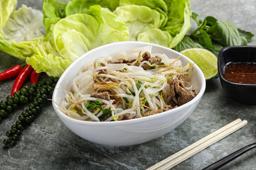 Vietnamese traditional soup Pho Bo with beef
