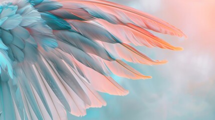 Fototapeta na wymiar A detailed view of a birds wing in soft pastel colors, showcasing the delicate white feathers and intricate patterns