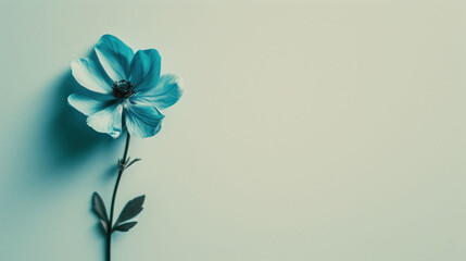 a single blue flower sitting on top of a blue table next to a white wall with a green stem on top of it.