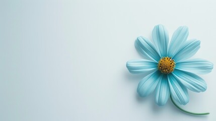 a blue flower with a yellow center on a light blue background with a yellow center on the center of the flower. - obrazy, fototapety, plakaty