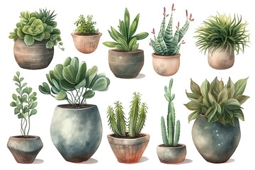 Collection of beautiful plants in ceramic pots isolated on transparent background