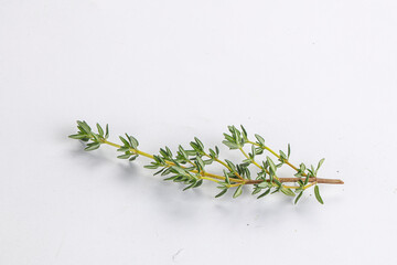 Aroma seasoning thyme stem with leaves