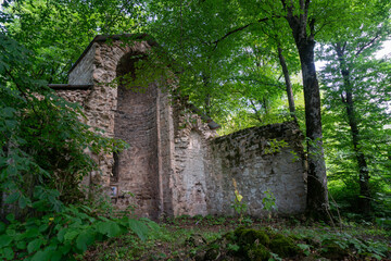 Ruins of a church with remains of a wall with an arch in the forest. There are trees and bushes around. Day, bright blue sky.