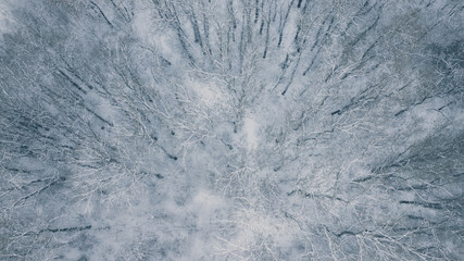 A captivating aerial view of a snow-covered forest, showcasing the serene winter beauty and...