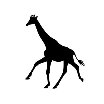 Giraffe Running Vector Logo
