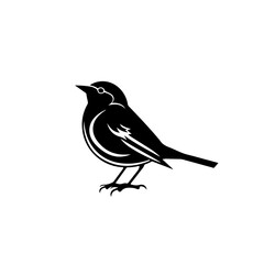 Robin Bird Vector Logo