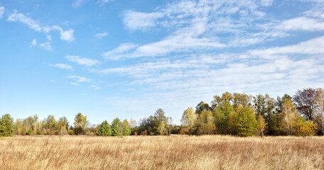 Panoramic photo of colorful forest against the sky and meadows. Beautiful landscape of trees and blue sky background