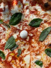 Close up shot from above of the toppings of italian pizza, with tomato, mozzarella, basil and a little mozzarella cherry in the middle.