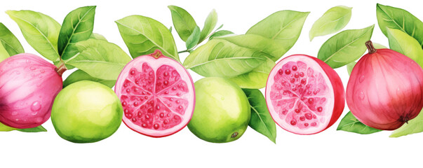 Watercolor background banner of guavas isolated on a white background as transparent PNG