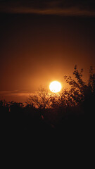 Photo of a breathtaking sunset, painting the sky with vibrant hues of orange and gold, evoking a sense of peace and wonder as day transitions into night