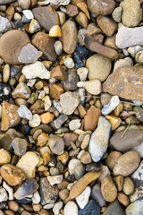 Close-up photo of assorted small stones, highlighting the unique textures and colors of each pebble, an exploration of nature's diverse palette