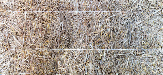 Background portrait of haystack. Agriculture symbol, hay bale group.