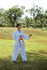 Concentrated determined taekwondo sportswoman practicing trance outdoors
