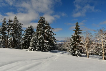 Fototapeta na wymiar Winter Mountain Landscape Mount Biei Fuji Hokkaido Japan