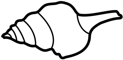 Exotic sheashell doodle beach sand © ika