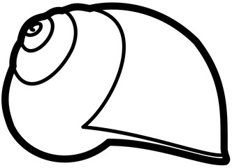 exotic seashell outline beach sand © ika