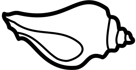 exotic seashell outline beach sand © ika