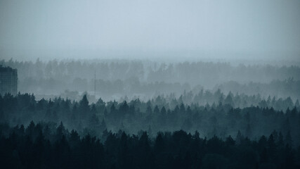 Photo of a forest from above, draped in rain, capturing the serene beauty of nature's canopy under...