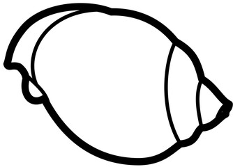 exotic seashell outline beach sand © ika