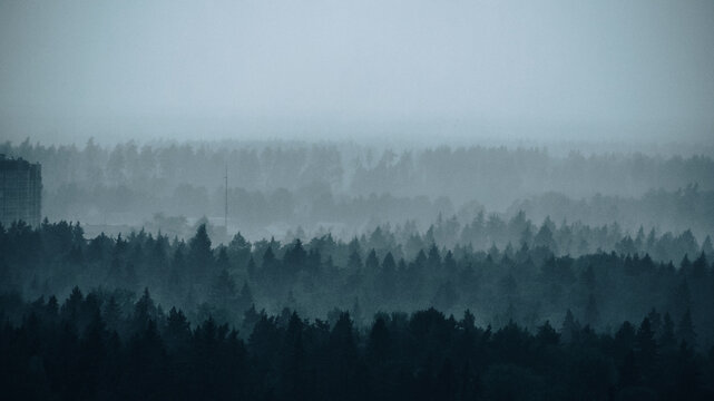 Photo of a forest from above, draped in rain, capturing the serene beauty of nature's canopy under a gentle shower