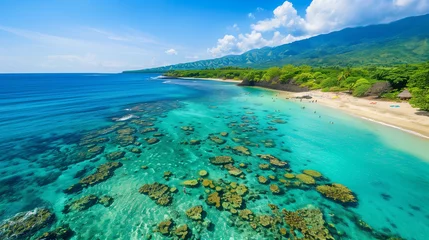 Stof per meter Tropical beach with a vibrant coral reef visible from above, Snorkeling paradise, Rich marine life © Nii_Anna