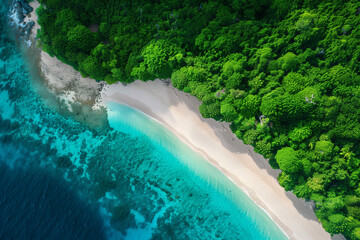 Aerial view of a tropical beach, Crystal clear turquoise water, White sandy shore, Lush greenery surrounding the beach, Peaceful and pristine environment