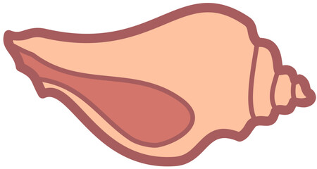 Exotic sheashell doodle beach sand