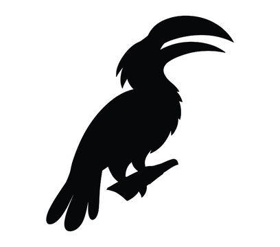 African Gray Hornbill. Vector image. White background.