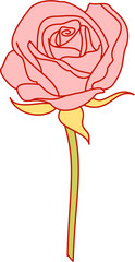 Rose Blooms hand drawn pastel