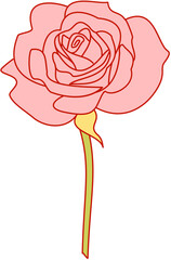 Rose Blooms hand drawn pastel