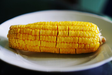 Close-up of corn on the cob on a white plate. Selective focus
