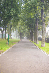Fototapeta na wymiar City summer park in the fog. A park alley with benches is buried in fog
