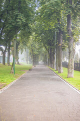 City summer park in the fog. A park alley with benches is buried in fog