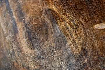 texture of wood