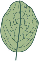 Doodle green leafs bones monochrome