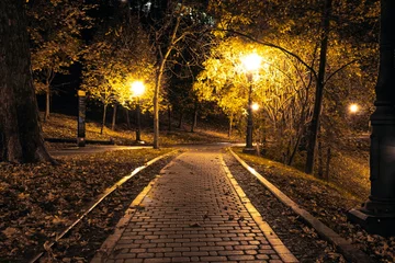 Foto op Canvas The teiled road in the night park with lanterns in autumn. Benches in the park during the autumn season at night. Illumination of a park road with lanterns at night. Mariinsky Park. Kyiv © decorator